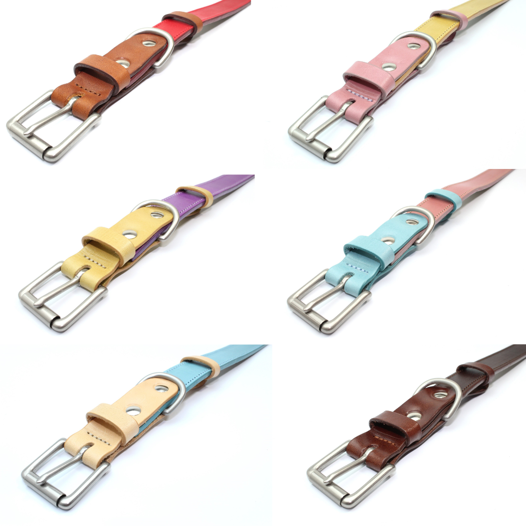 ColourPlay Collar Collection